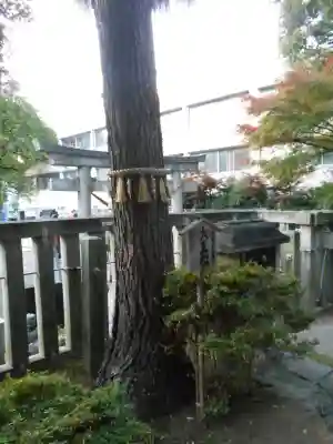 橿森神社(岐阜県)