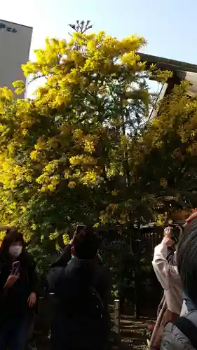 蔵前神社の自然