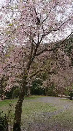 青渭神社里宮の自然