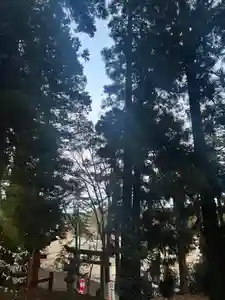 大宮温泉神社(栃木県)(2024年01月03日(水) 12時39分29秒投稿)