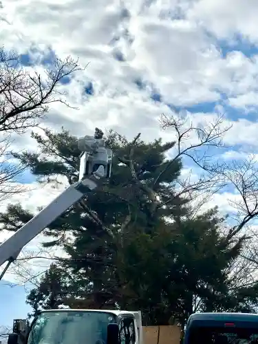 蚊里田八幡宮の{uncategorized: "未分類", other: "その他", undefined: "問題あり", building: "その他建物", grave: "お墓", sacred_gate: "鳥居", guardian: "狛犬", statue: "像", buddha: "仏像", history: "歴史", nature: "自然", garden: "庭園", animal: "動物", pagoda: "塔", temizu: "手水舎", mountain_gate: "山門・神門", sanctuary: "本殿・本堂", subordinate: "末社・摂社", art: "芸術", scenery: "景色", jizo: "地蔵", ema: "絵馬", goshuin: "御朱印", omikuji: "おみくじ", items: "授与品その他", amulet: "お守り", goshuincho: "御朱印帳", eats: "食事", festival: "お祭り", votive_dance: "神楽", shichigosan: "七五三参", wedding: "結婚式", experience: "体験その他", initially: "初詣", around: "周辺", anti_infection: "感染症対策"}