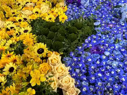 住吉神社の手水舎