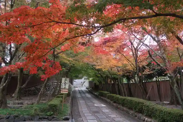 勝林寺(京都府)