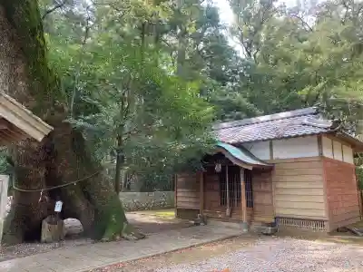 飛鳥神社の{uncategorized: "未分類", other: "その他", undefined: "問題あり", building: "その他建物", grave: "お墓", sacred_gate: "鳥居", guardian: "狛犬", statue: "像", buddha: "仏像", history: "歴史", nature: "自然", garden: "庭園", animal: "動物", pagoda: "塔", temizu: "手水舎", mountain_gate: "山門・神門", sanctuary: "本殿・本堂", subordinate: "末社・摂社", art: "芸術", scenery: "景色", jizo: "地蔵", ema: "絵馬", goshuin: "御朱印", omikuji: "おみくじ", items: "授与品その他", amulet: "お守り", goshuincho: "御朱印帳", eats: "食事", festival: "お祭り", votive_dance: "神楽", shichigosan: "七五三参", wedding: "結婚式", experience: "体験その他", initially: "初詣", around: "周辺", anti_infection: "感染症対策"}
