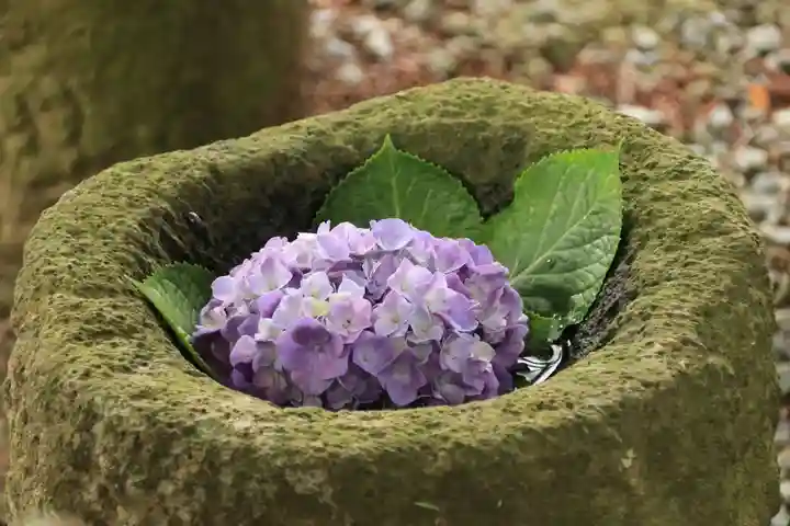 阿久津「田村神社」(郡山市阿久津町)旧社名:伊豆箱根三嶋三社の手水舎