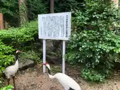 猿田彦三河神社の狛犬