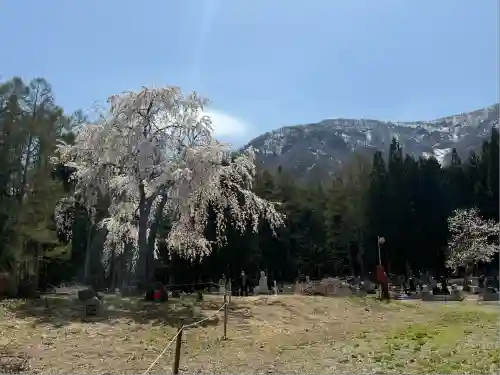貞麟寺(長野県)