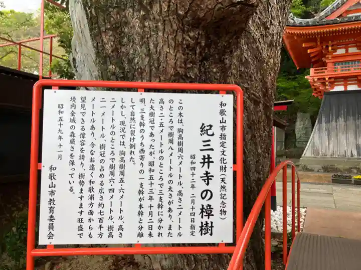 金剛宝寺(紀三井寺)(和歌山県)