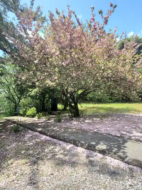 日光鹿島神社の自然