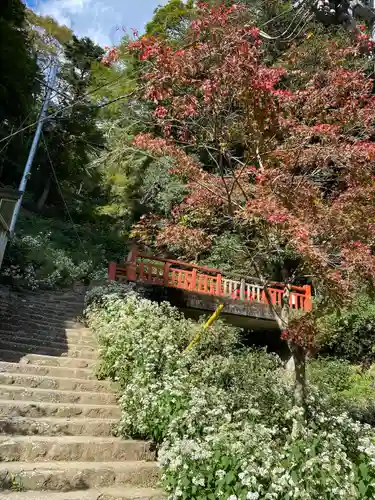 大山寺(神奈川県)