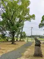 八幡社(徳田八幡社)の狛犬