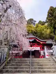 小川諏訪神社の自然