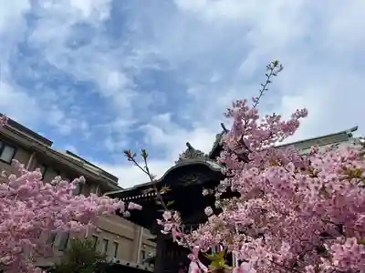 桜神宮(東京都)