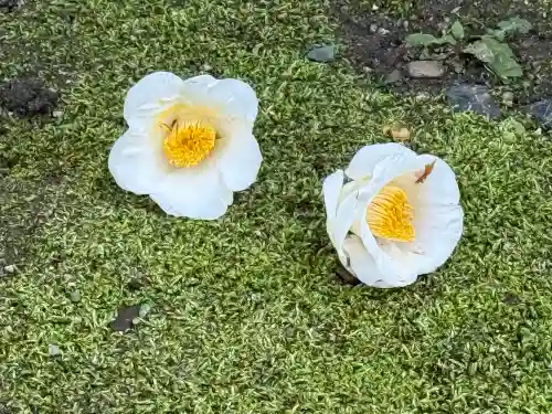 城南宮(京都府)