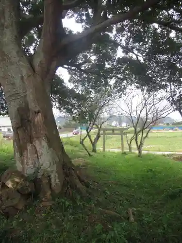 裏つくば、恋瀬川沿いの神社の鳥居