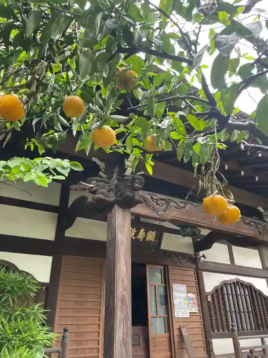 佛心寺(東京都)