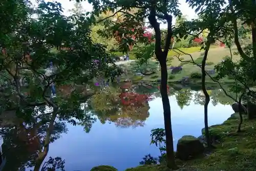 興福寺の庭園