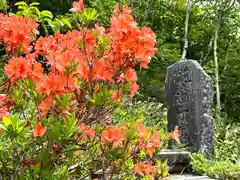 山家神社奥宮の自然