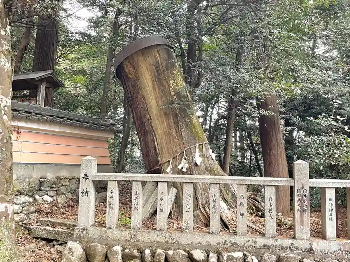 大森神社の自然
