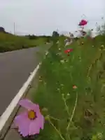 本郷氷川神社の周辺