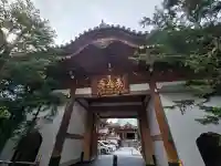 東光寺の{uncategorized: "未分類", other: "その他", undefined: "問題あり", building: "その他建物", grave: "お墓", sacred_gate: "鳥居", guardian: "狛犬", statue: "像", buddha: "仏像", history: "歴史", nature: "自然", garden: "庭園", animal: "動物", pagoda: "塔", temizu: "手水舎", mountain_gate: "山門・神門", sanctuary: "本殿・本堂", subordinate: "末社・摂社", art: "芸術", scenery: "景色", jizo: "地蔵", ema: "絵馬", goshuin: "御朱印", omikuji: "おみくじ", items: "授与品その他", amulet: "お守り", goshuincho: "御朱印帳", eats: "食事", festival: "お祭り", votive_dance: "神楽", shichigosan: "七五三参", wedding: "結婚式", experience: "体験その他", initially: "初詣", around: "周辺", anti_infection: "感染症対策"}