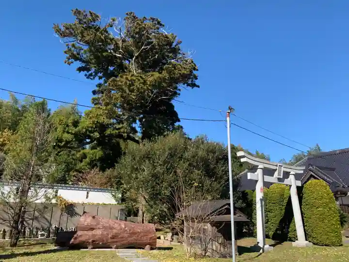 真光寺(千葉県)