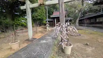 新日吉神宮(京都府)