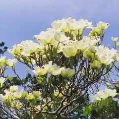 豊景神社の自然