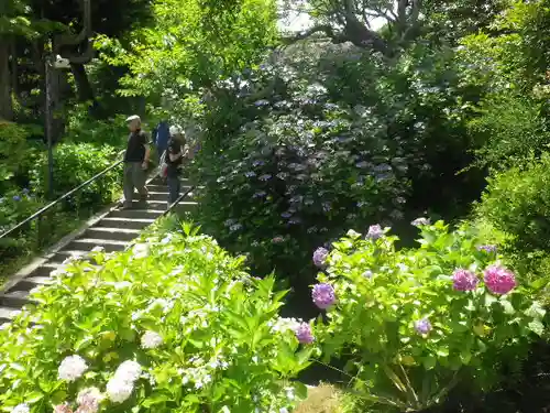 東慶寺の庭園