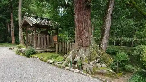 丹生大師 神宮寺の自然