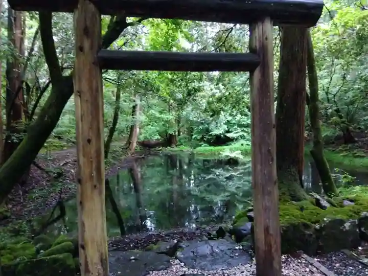 平泉寺白山神社(福井県)
