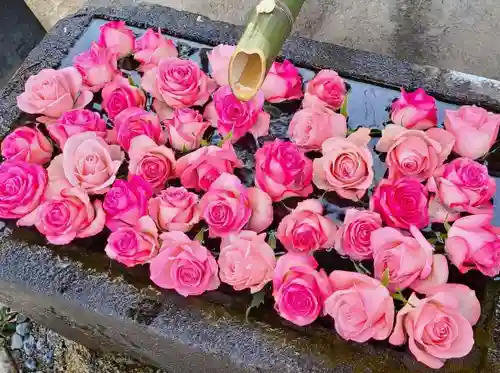 差出磯大嶽山神社 仕事と健康と厄よけの神さまの手水舎