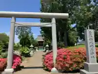 横根稲荷神社の御朱印