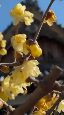 大松禅寺(京都府)