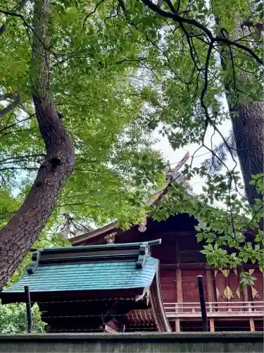 氣比神宮(福井県)