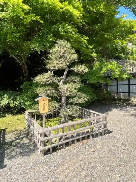 長谷寺(奈良県)