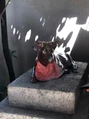 京都ゑびす神社の狛犬