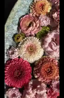 行田八幡神社の{uncategorized: "未分類", other: "その他", undefined: "問題あり", building: "その他建物", grave: "お墓", sacred_gate: "鳥居", guardian: "狛犬", statue: "像", buddha: "仏像", history: "歴史", nature: "自然", garden: "庭園", animal: "動物", pagoda: "塔", temizu: "手水舎", mountain_gate: "山門・神門", sanctuary: "本殿・本堂", subordinate: "末社・摂社", art: "芸術", scenery: "景色", jizo: "地蔵", ema: "絵馬", goshuin: "御朱印", omikuji: "おみくじ", items: "授与品その他", amulet: "お守り", goshuincho: "御朱印帳", eats: "食事", festival: "お祭り", votive_dance: "神楽", shichigosan: "七五三参", wedding: "結婚式", experience: "体験その他", initially: "初詣", around: "周辺", anti_infection: "感染症対策"}