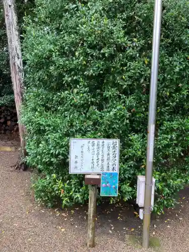 息栖神社の{uncategorized: "未分類", other: "その他", undefined: "問題あり", building: "その他建物", grave: "お墓", sacred_gate: "鳥居", guardian: "狛犬", statue: "像", buddha: "仏像", history: "歴史", nature: "自然", garden: "庭園", animal: "動物", pagoda: "塔", temizu: "手水舎", mountain_gate: "山門・神門", sanctuary: "本殿・本堂", subordinate: "末社・摂社", art: "芸術", scenery: "景色", jizo: "地蔵", ema: "絵馬", goshuin: "御朱印", omikuji: "おみくじ", items: "授与品その他", amulet: "お守り", goshuincho: "御朱印帳", eats: "食事", festival: "お祭り", votive_dance: "神楽", shichigosan: "七五三参", wedding: "結婚式", experience: "体験その他", initially: "初詣", around: "周辺", anti_infection: "感染症対策"}