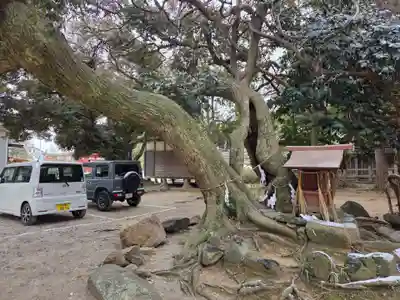 飯野八幡宮(福島県)