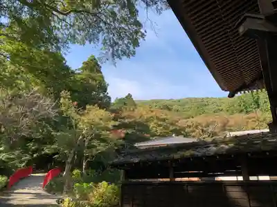 普門寺(切り絵御朱印発祥の寺)のその他建物