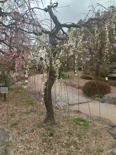 防府天満宮(山口県)