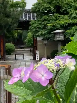 大報恩寺（千本釈迦堂）(京都府)