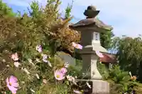 豊景神社の庭園