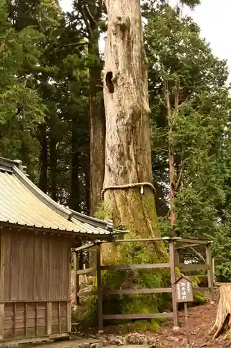 身延山奥之院思親閣(山梨県)