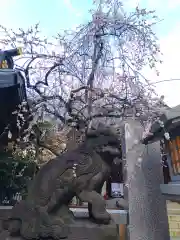 牛天神北野神社(東京都)