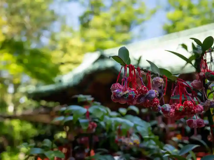 赤坂氷川神社(東京都)