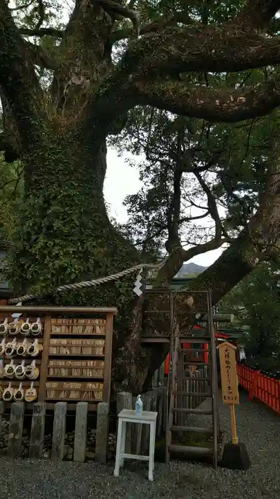 熊野那智大社(和歌山県)