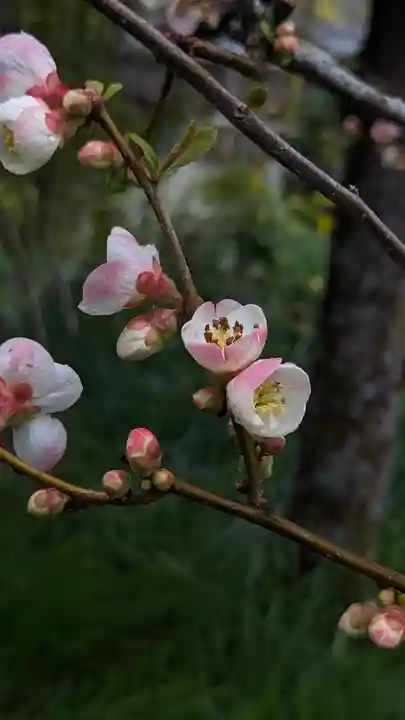 惠心院(京都府)