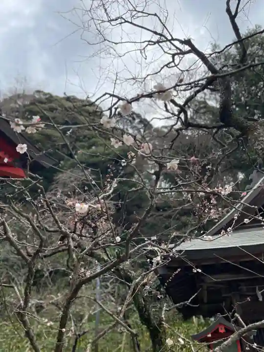 荏柄天神社の自然